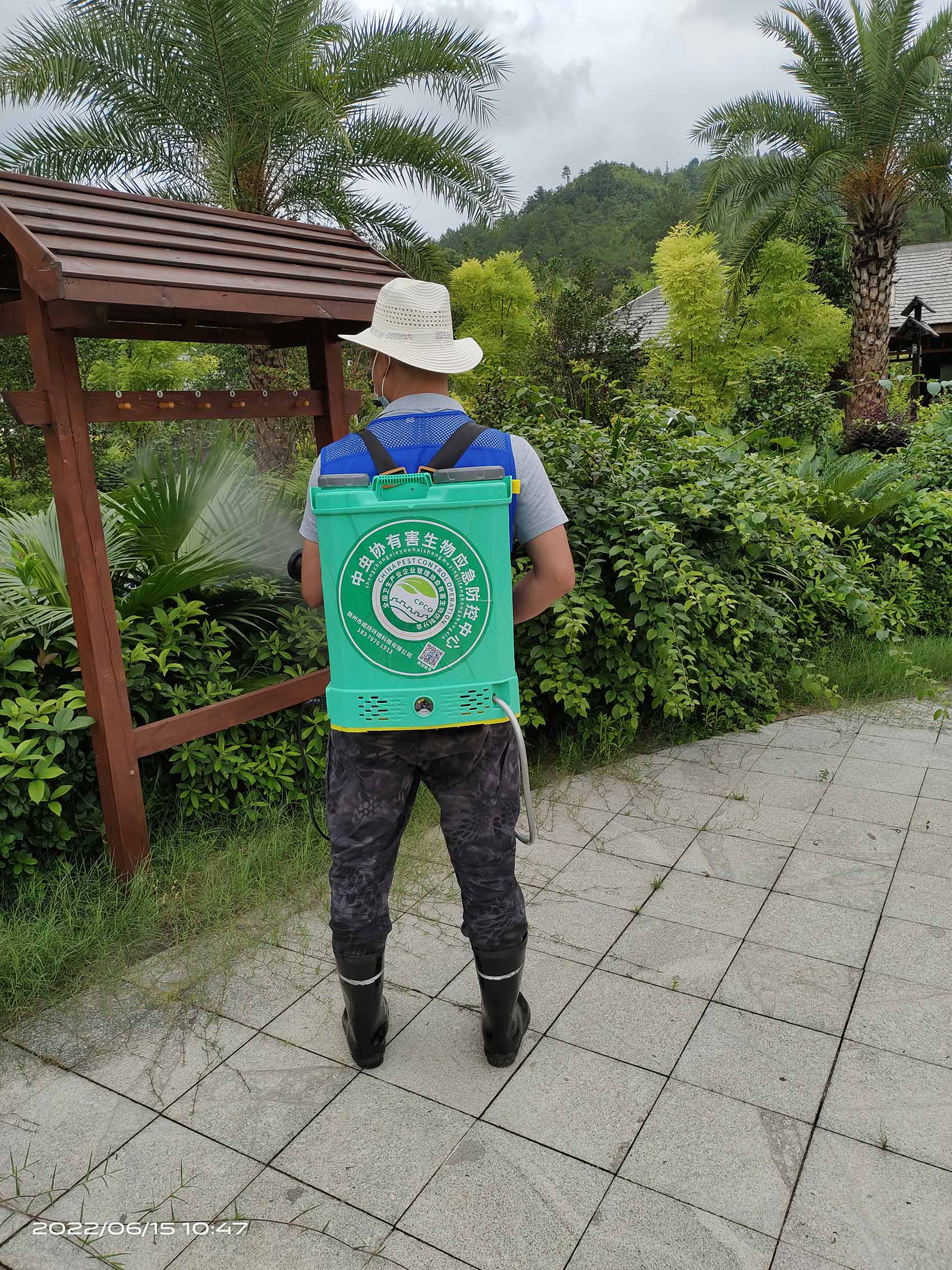 温泉酒店蚊蝇消杀服务